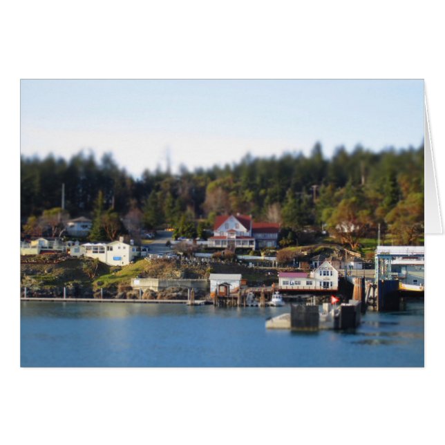 Miniaturised Orcas Island (Front Horizontal)