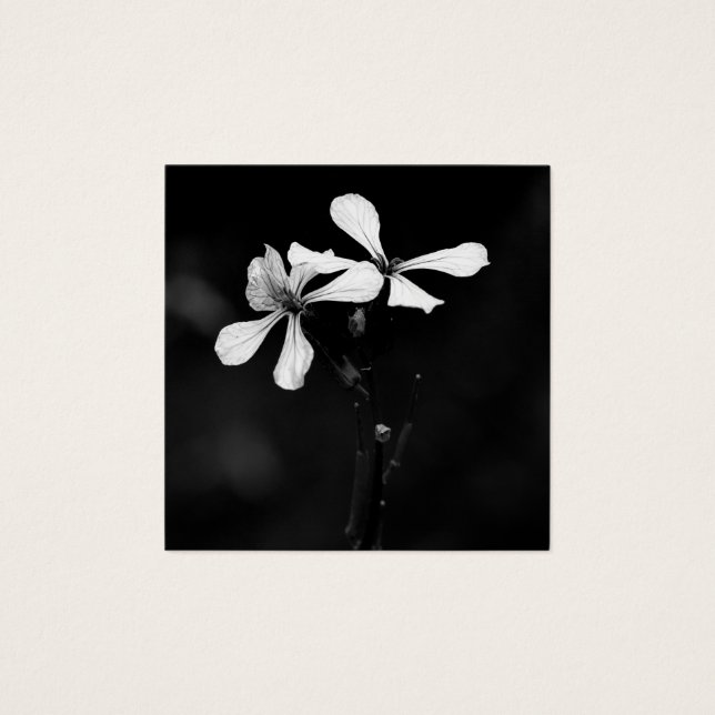 minimal black and white floral (Front)