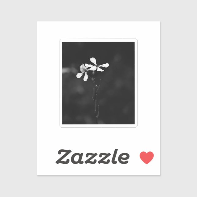 minimal black and white floral (Sheet)