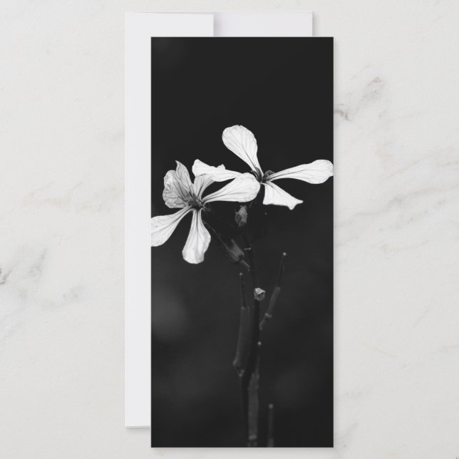 minimal black and white floral card (Front)