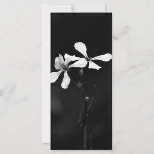 minimal black and white floral card