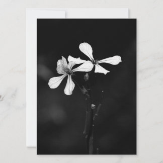 minimal black and white floral holiday card