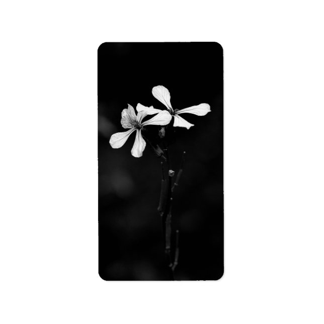 minimal black and white floral label (Front)