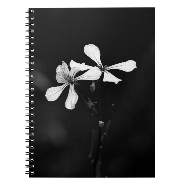 minimal black and white floral notebook (Front)