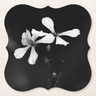 minimal black and white floral paper coaster