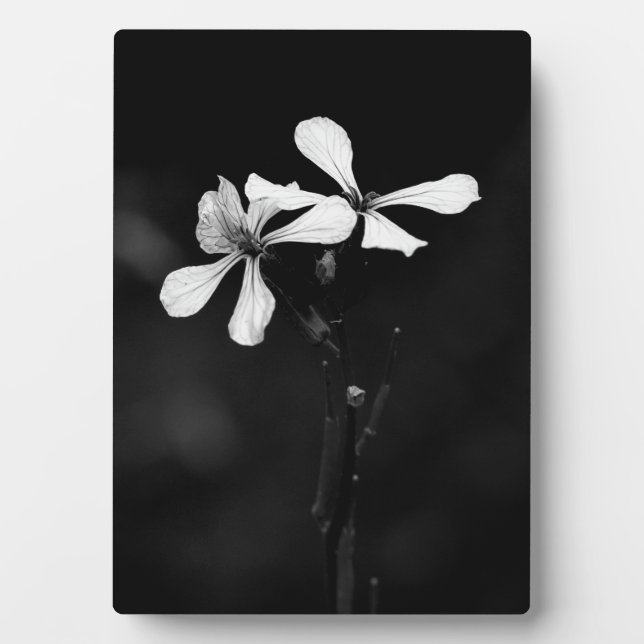 minimal black and white floral plaque (Front)