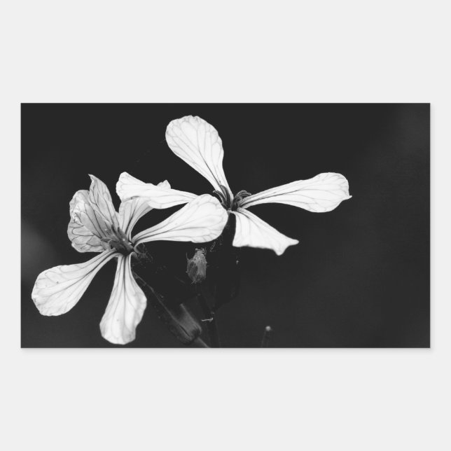 minimal black and white floral rectangular sticker (Front)