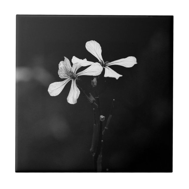 minimal black and white floral tile (Front)
