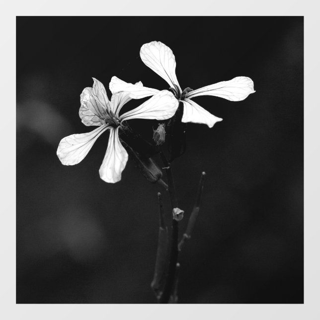 minimal black and white floral window cling (Sheet)