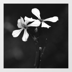 minimal black and white floral window cling