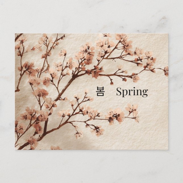 Minimal Cherry Blossom Spring Postcard (Front)