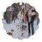 Minimal Christmas Scandinavian Forest Green Photo