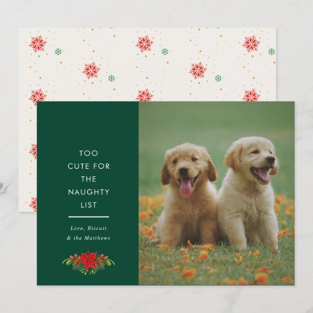 Minimal Cute Saying Pet Christmas Photo  Holiday Card