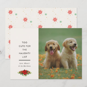 Minimal Cute Saying Pet Christmas Photo Holiday Card