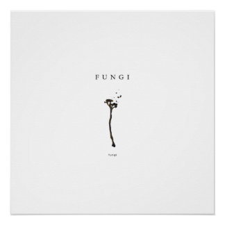 minimal fungi aesthetic line art nature concept de poster