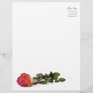 Minimal Modern Red Yellow Rose Personal Letterhead