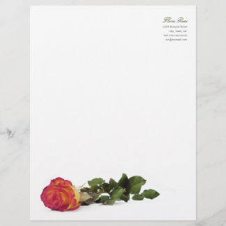 Minimal Modern Red Yellow Rose Personal Letterhead
