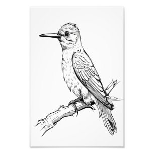 Minimalist Bird Illustration Line Art Photo Print