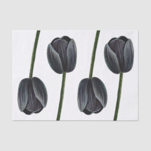 Minimalist Black Tulip Tissue Paper