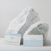 Minimalist Blue Two-Tone Business Card