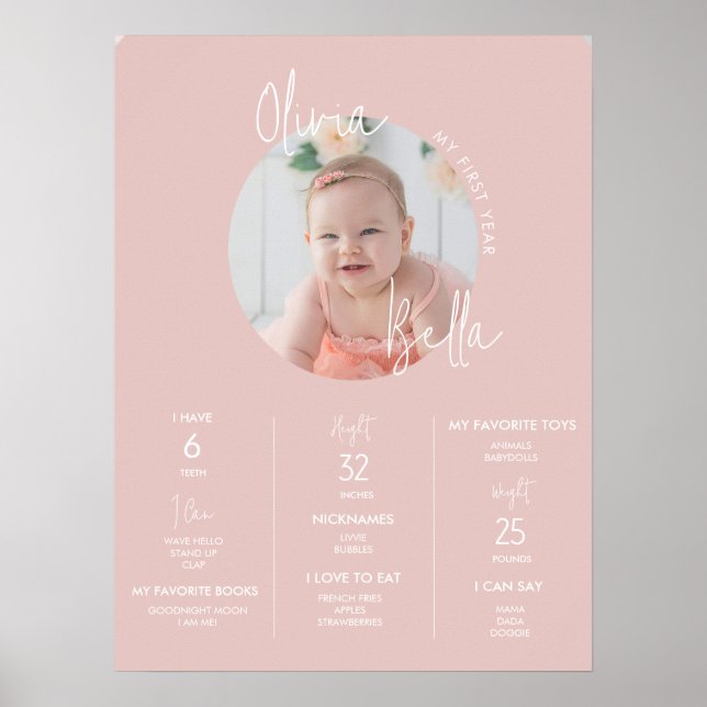 Minimalist Blush Pink First Birthday Milestone  Poster (Front)