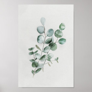 Minimalist Botanical Eucalyptus in Watercolor  Poster