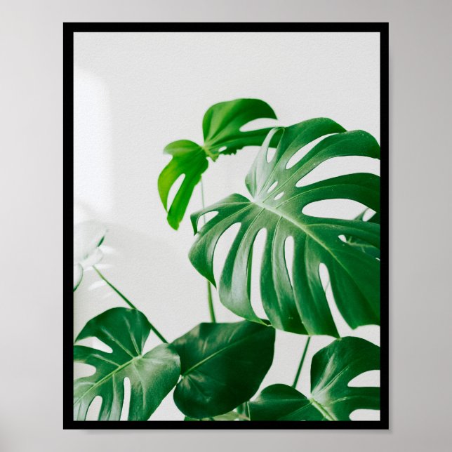 Minimalist Botanical Photo Frame Wall Poster (Front)