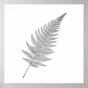 Minimalist Botanical Print: Elegant Fractal Fern Poster