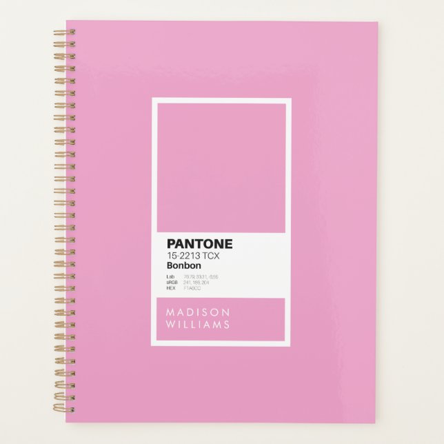 Minimalist Colour Palette Swatch Custom Name Planner (Front)