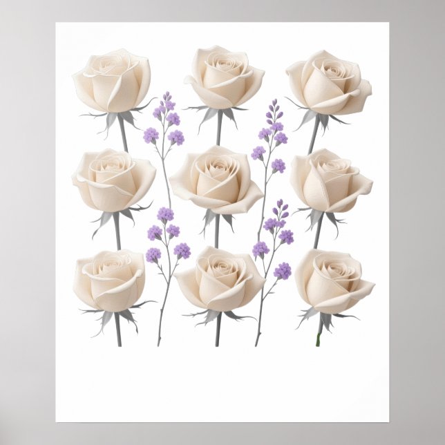 Minimalist Cream Rose Floral Drawing Poster (Front)