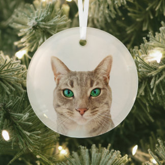 Minimalist Create Your Own Custom Pet Photo Glass Tree Decoration