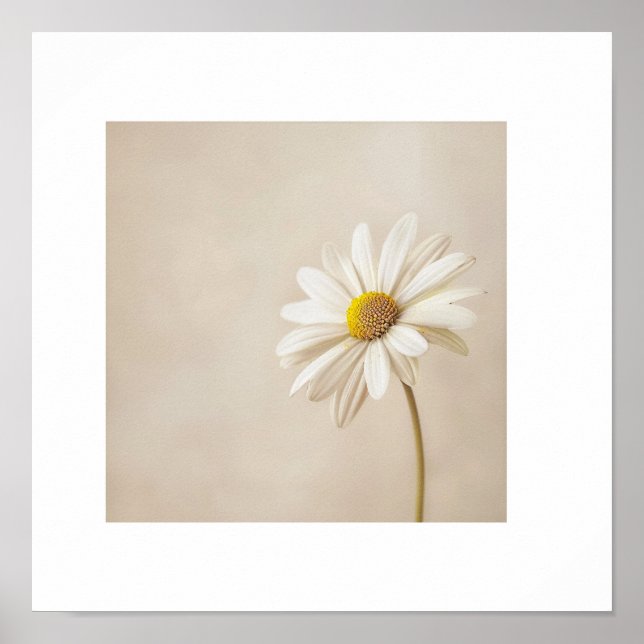 Minimalist Daisy Flower Poster – Neutral Beige Bot (Front)