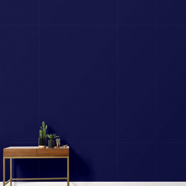 Minimalist dark navy blue plain solid colour moder wallpaper (Hallway)