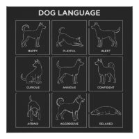 Minimalist Dog Body Language & Behaviour Chart