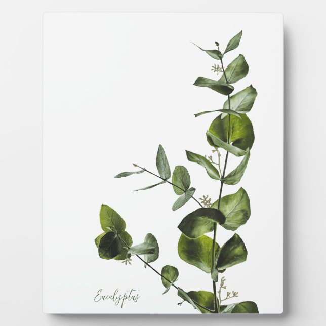 Minimalist Elegant Eucalyptus Plaque (Front)