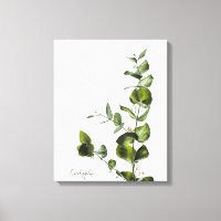 Minimalist Elegant Sage Eucalyptus Canvas Print