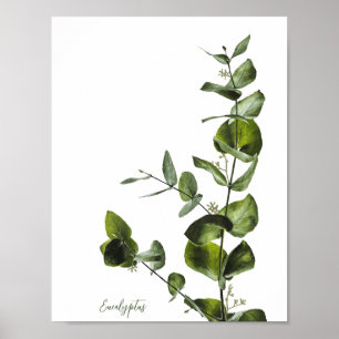 Minimalist Elegant Sage Eucalyptus Poster