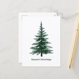 Minimalist Evergreen Tree Design Simple Hand-Draw Holiday Postcard