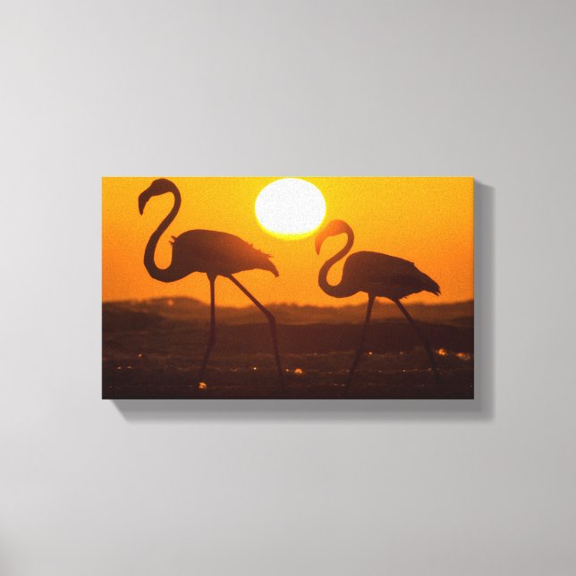 Minimalist Flamingo Silhouette Sunset  Canvas Print (Front)