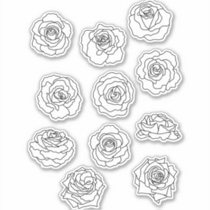 Minimalist Floral Rose Line Art
