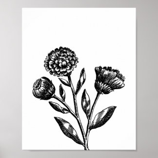 Minimalist Flower Illustration Floral Art in Black Poster
