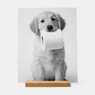 Minimalist Fun Golden Retriever Puppy Toilet Paper Acrylic Sign
