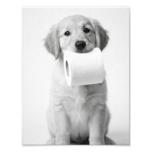 Minimalist Fun Golden Retriever Puppy Toilet Paper Photo Print