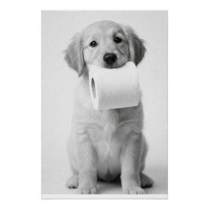 Minimalist Fun Golden Retriever Puppy Toilet Paper Poster