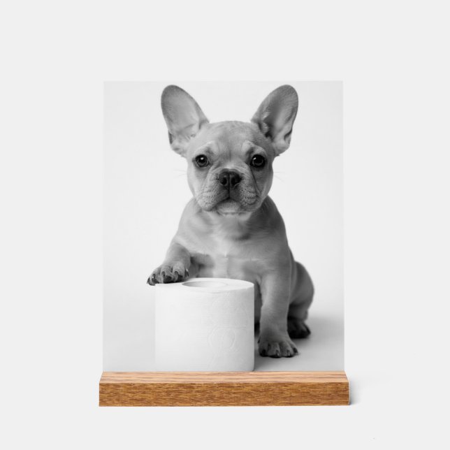 Minimalist Funny French Bulldog Guards ToiletPaper Acrylic Sign (Front)