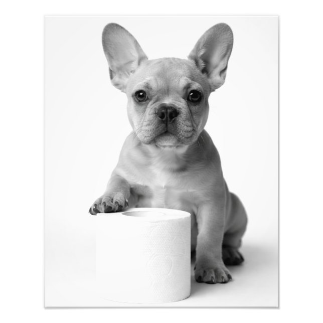 Minimalist Funny French Bulldog Guards ToiletPaper Photo Print (Front)