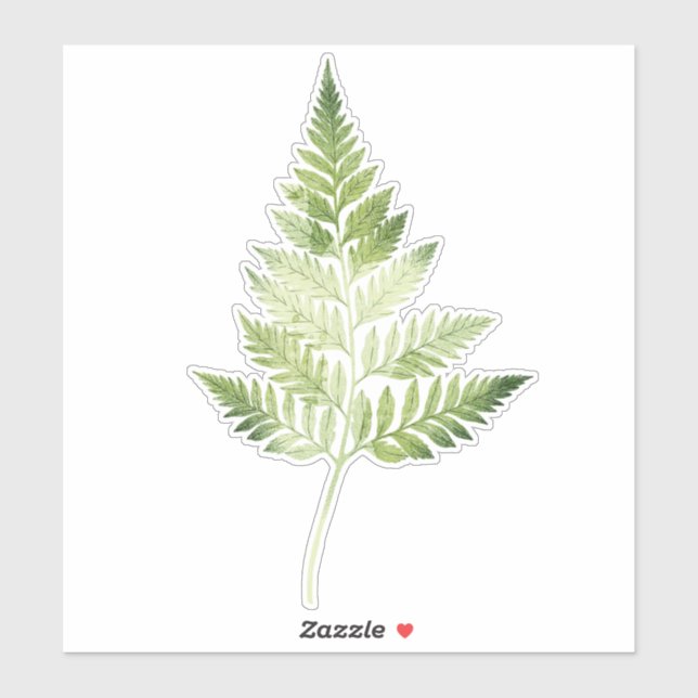 Minimalist Green Fern Botanical Illustration (Sheet)