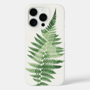 Minimalist Green Fern Botanical Illustration iPhone 16 Pro Case