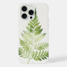 Minimalist Green Fern Botanical Illustration