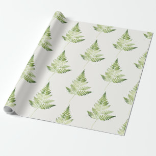 Minimalist Green Fern Botanical Illustration Wrapping Paper